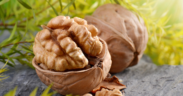 A cracked and uncracked walnut on the ground