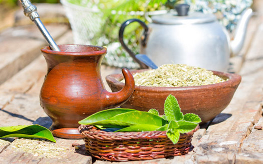 Yerba Mate - Yerba Mate for Cancer, Weight Loss, and Side Effects